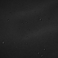 Mammut Linard Guide HS Hooded Jacket Men, black