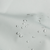 Mammut Linard Guide HS Hooded Jacket Men, nebla-silver sage